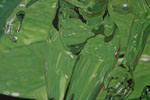 An Ephemeral Purity detail B