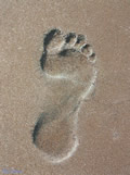 Footprint in beach sand