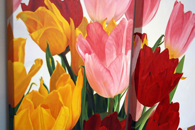 Tulip triptych left view