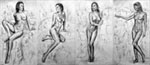 Disa orchid sketches A
