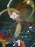 Fluidity detail