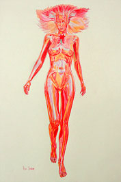 Muse colour concept sketch