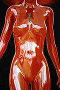 Muse in introspection body detail