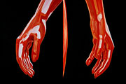 Muse in introspection hand detail