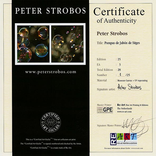 Certificate of authenticity for Peter Strobos Certified Art Giclee.