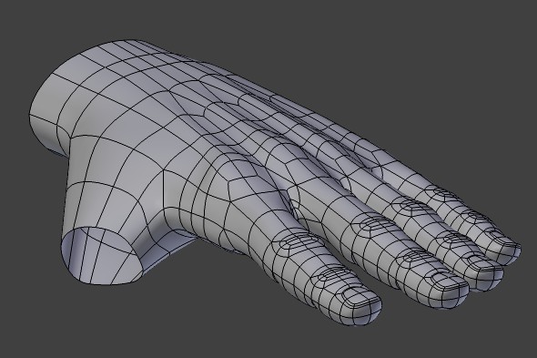 Modeling hand and thumb topology.