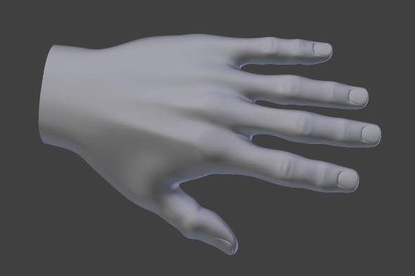 3D hand model by Peter Strobos.