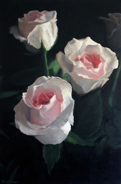 Impressionist style oil on canvas painting of pale pink roses on a dark background by artist Peter Strobos.