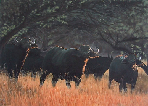 Oil on canvas painting of several African buffalo grazing long grass amongst trees by artist Peter Strobos.