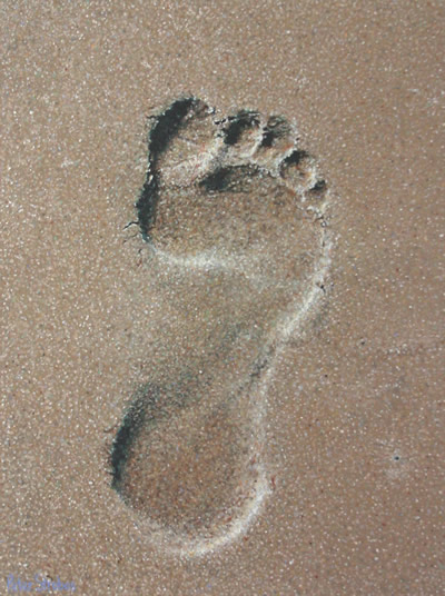 Oil on canvas painting of a footprint in beach sand by artist Peter Strobos.