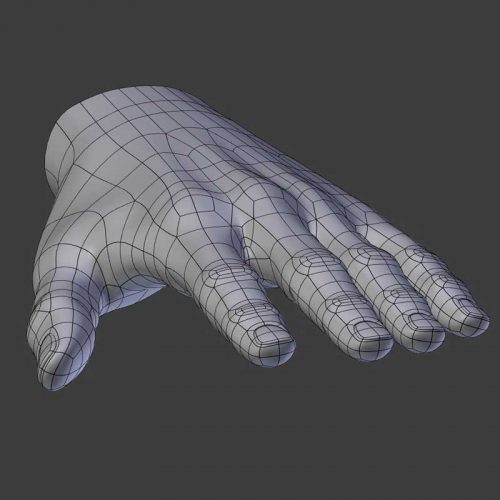 Mesh modeling hand topology.