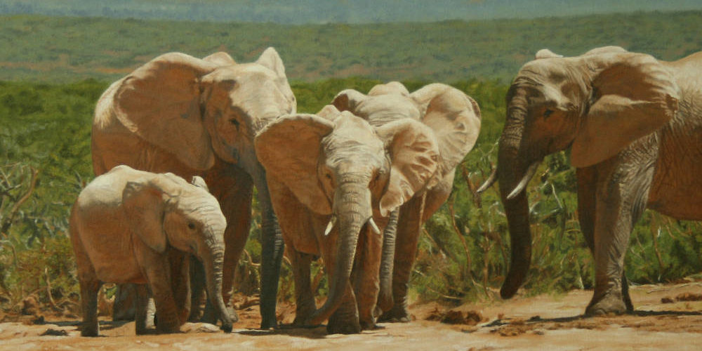 Oil on canvas painting close-up of Addo Elephants by artist Peter Strobos.