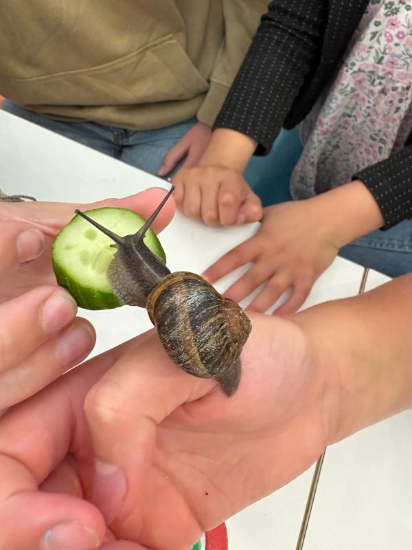 nature-class-feeding-snails