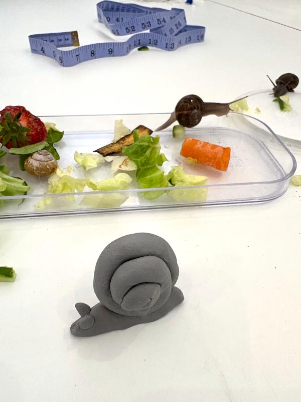 nature-class-sculpting-snails